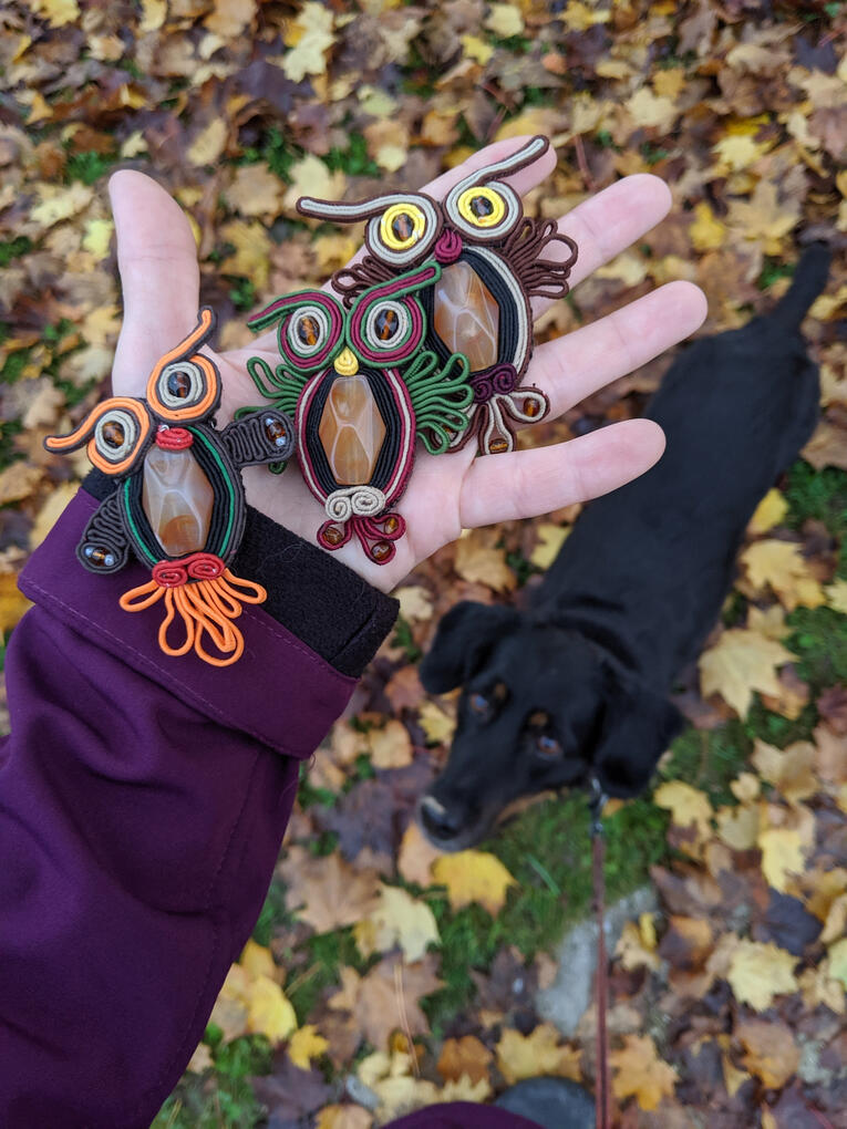 Owls Owls